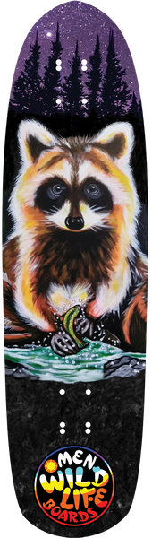 Tico Raccoon Complete